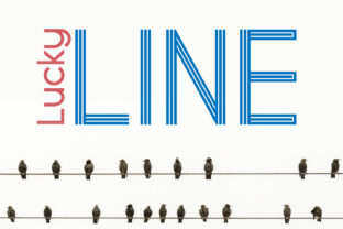 Lucky Line Font for Modern Monogram Design