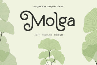 Molga Font for Modern Branding and Professional Design